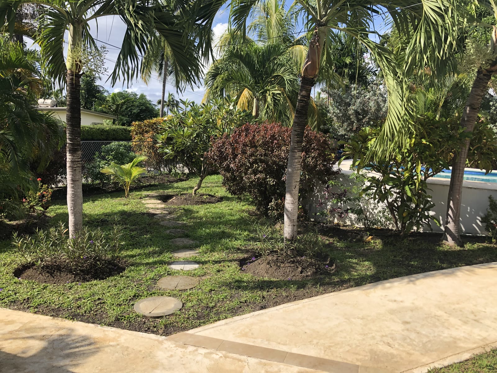 Manicured Garden Walkway